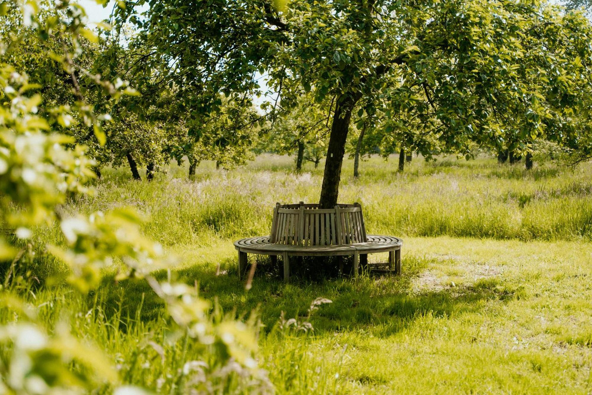 Cottage Landgoed Frymerson Sint Odiliënberg Eksteriør bilde