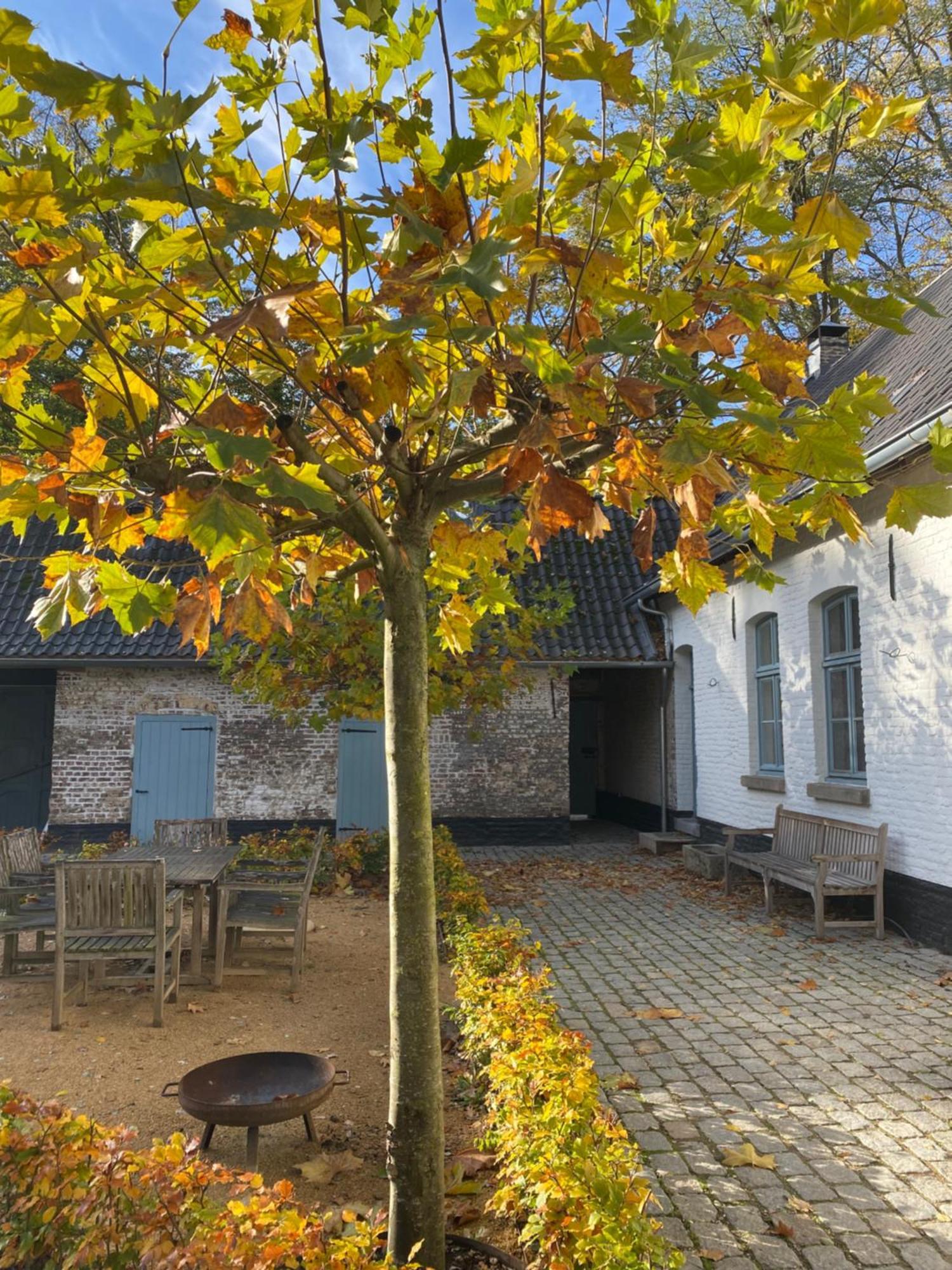 Cottage Landgoed Frymerson Sint Odiliënberg Eksteriør bilde